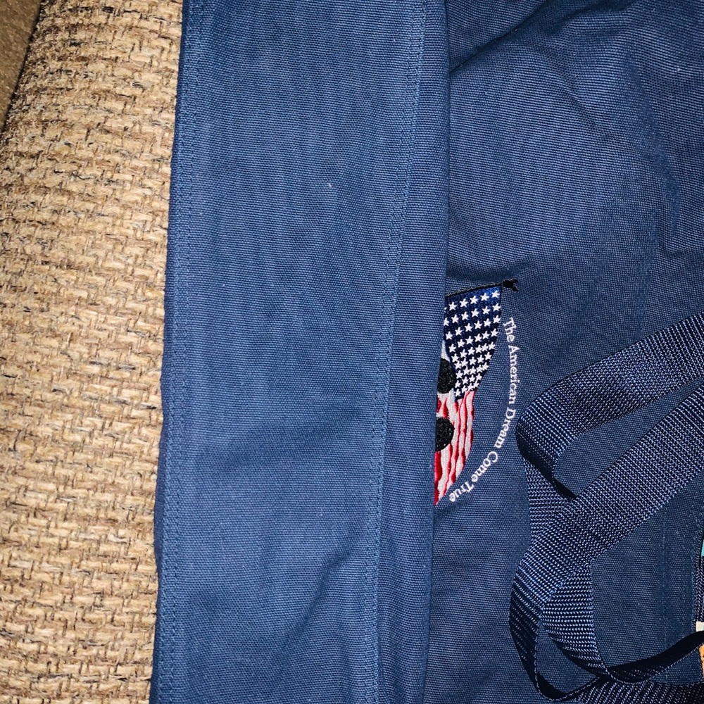 Disney land large shoulder bag 💼 - Picture 3 of 8